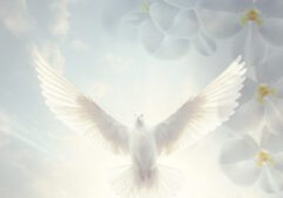 falecidos-sem-foto-241x300 cortada